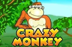 Играть в Crazy Monkey