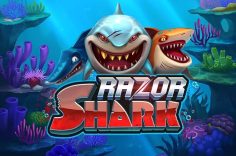 Играть в Razor Shark